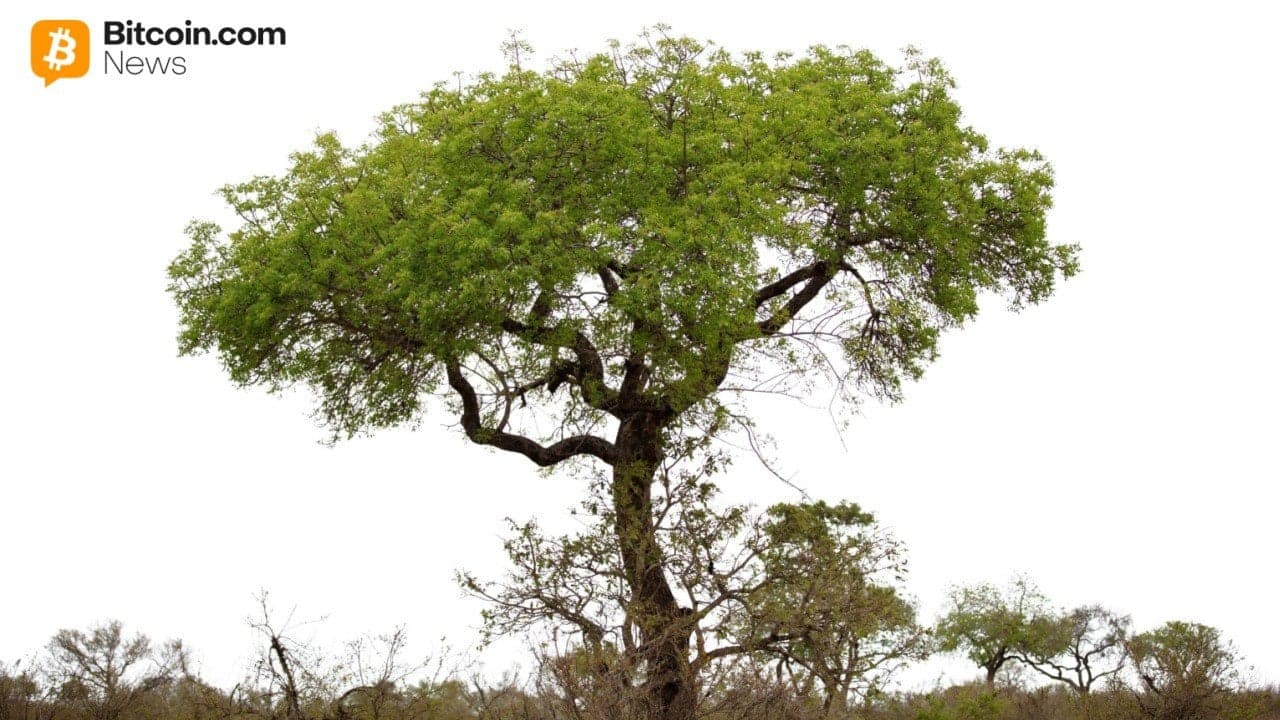 Digital Asset Solutions Firm fullfører Australias første tokeniserte investering i statsobligasjoner