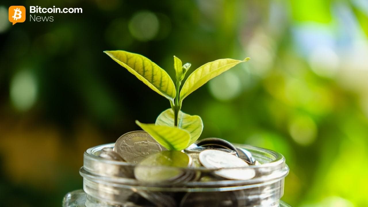 ETF-urile Bitcoin văd intrări modeste, în timp ce Solana rămâne fierbinte