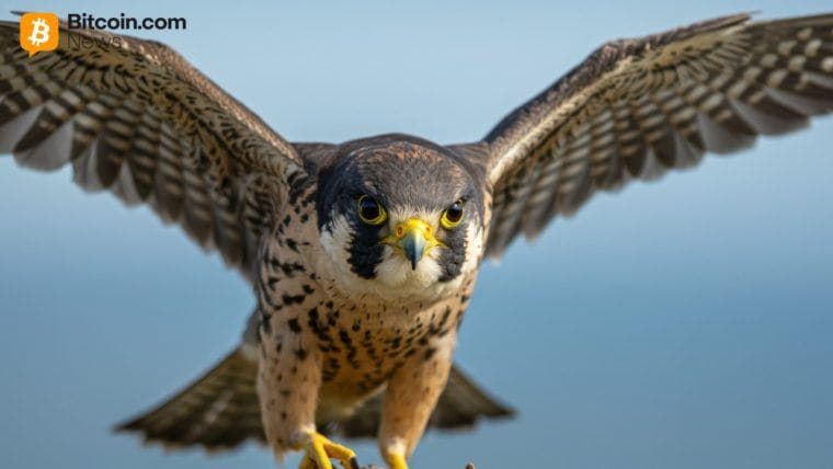 Tá Falcon Finance Ag Leathnú an Tacar Iasachta Leis an Tócan RWA JAAA Centrifuge $1B