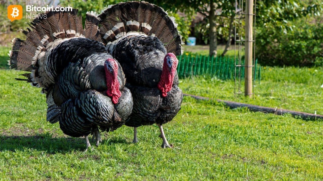Вот почему биткойн растет прямо перед Днем благодарения