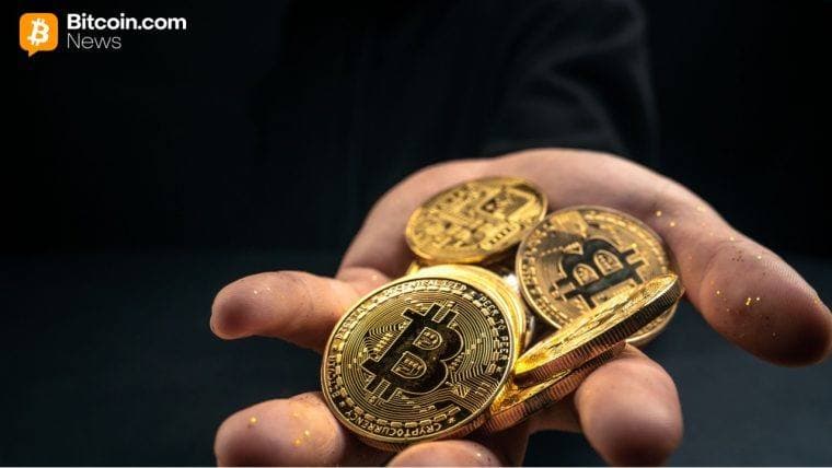 Legacy peněženky pohánějí listopadový pokles Bitcoinu