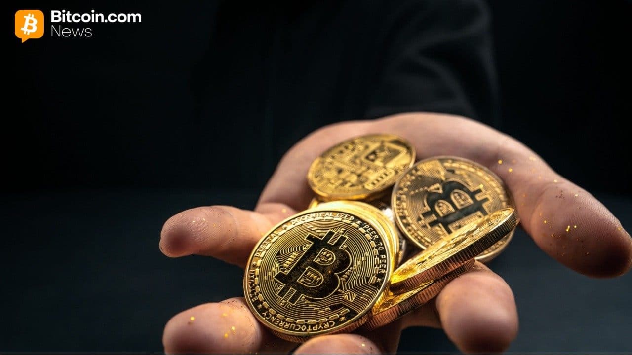 Carteiras Legadas Impulsionam Retração do Bitcoin em Novembro