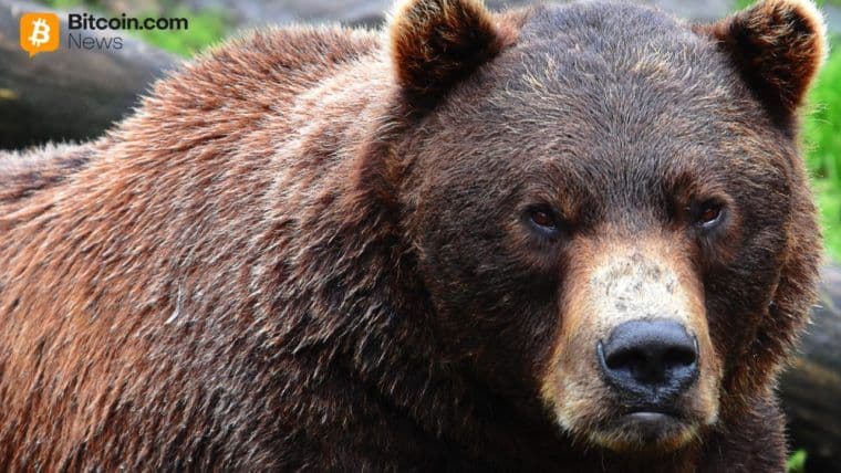 Technický výhľad XRP sa mení na medvedí, keď je testovaná psychologická podpora na úrovni 2,00 USD.