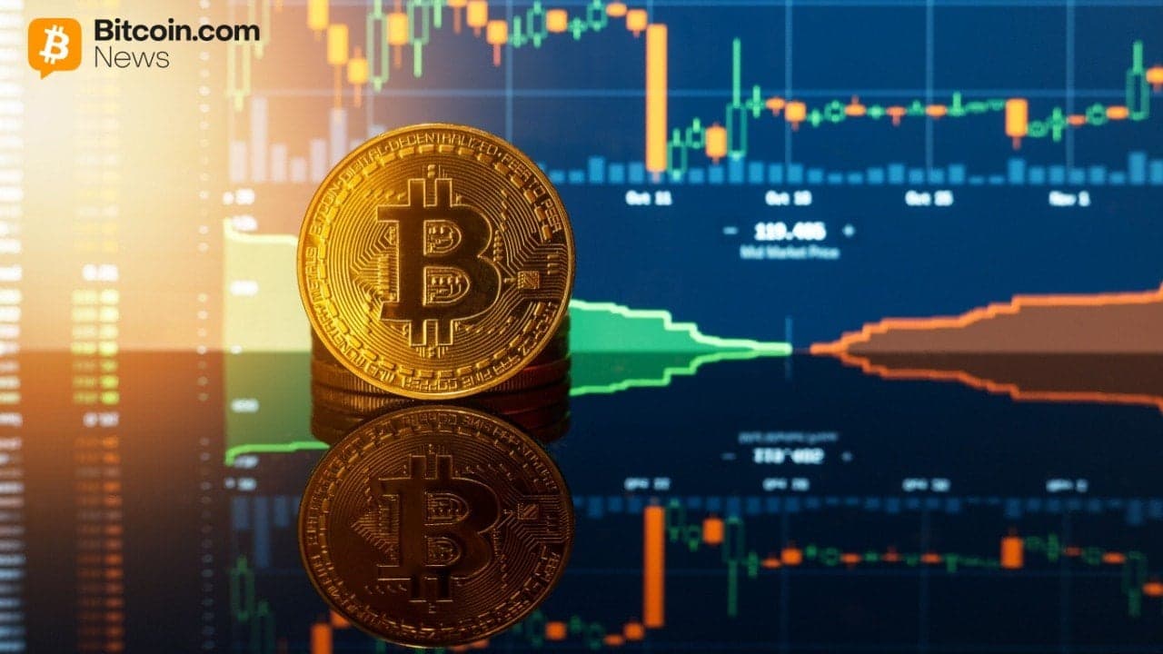 Diamond Hands Win: 85% of Bitcoin Holders Stood Firm Through the February Dip