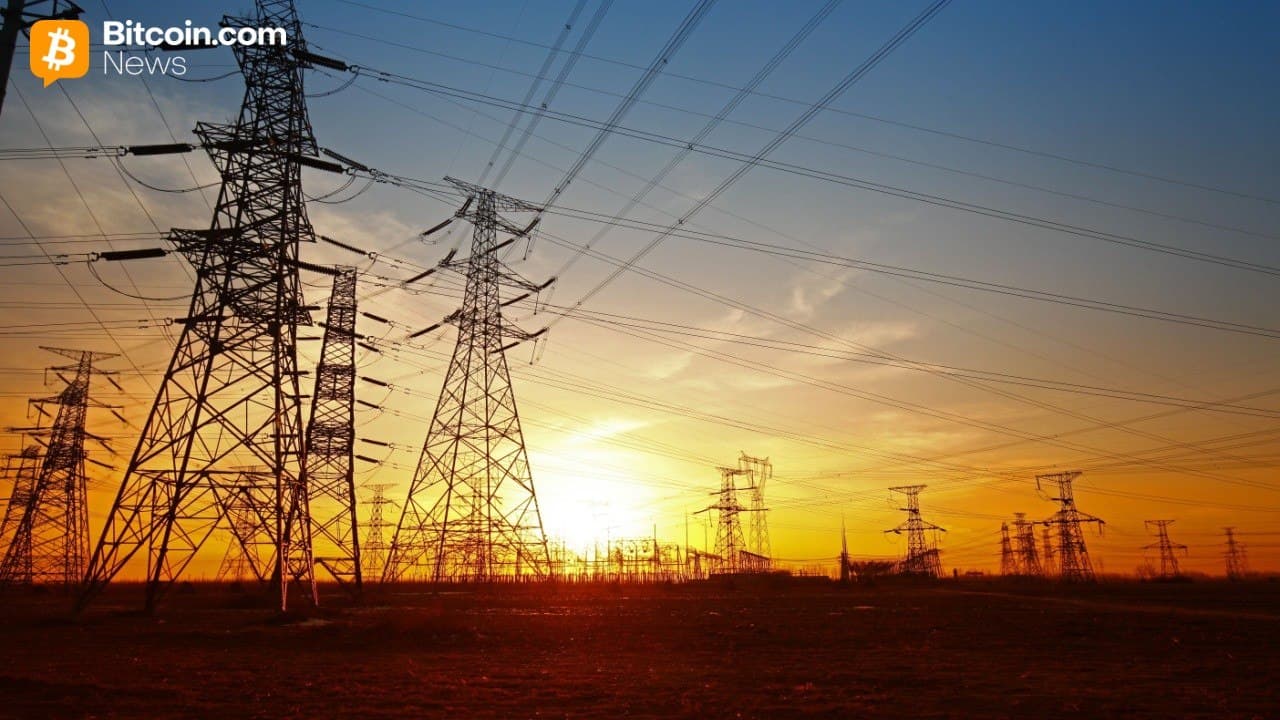 Differently Secured: Bitlease Founder Nima Beni on Why Falling Hashrates Aren't a Threat