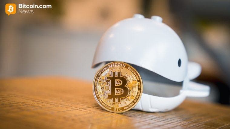 Il Bitcoin sfiora i 75.000 dollari mentre i grandi investitori accumulano 270.000 BTC