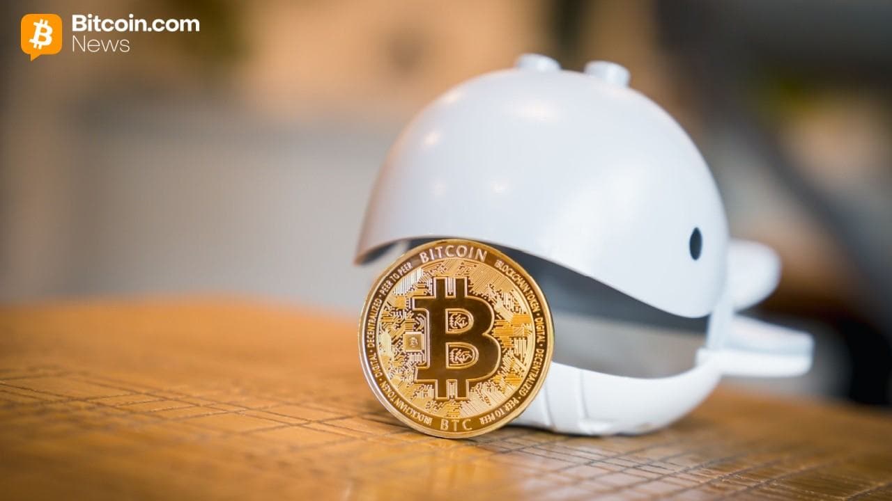 Bitcoin Tests $75,000 as Whales Accumulate 270,000 BTC