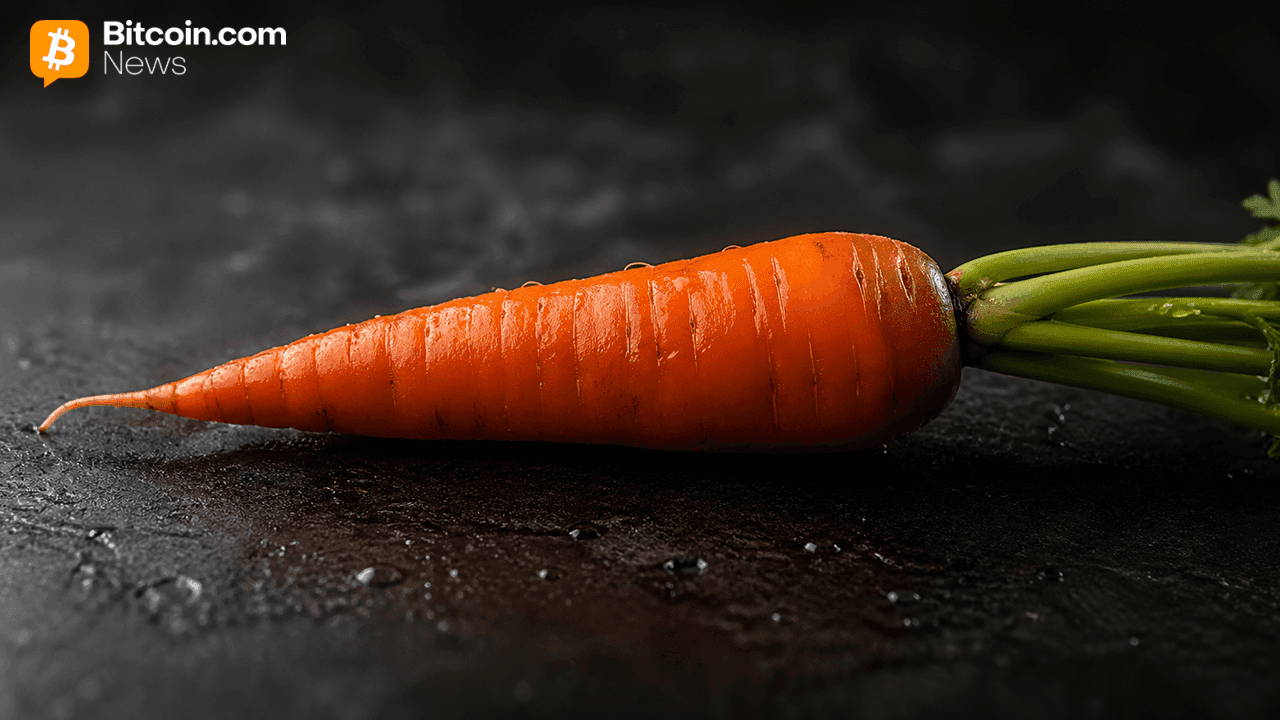 Das Solana-Yield-Protokoll „Carrot“ stellt den Betrieb ein, nachdem durch eine Sicherheitslücke in Drift TVL in Höhe von 8 Millionen Dollar abgezogen wurden