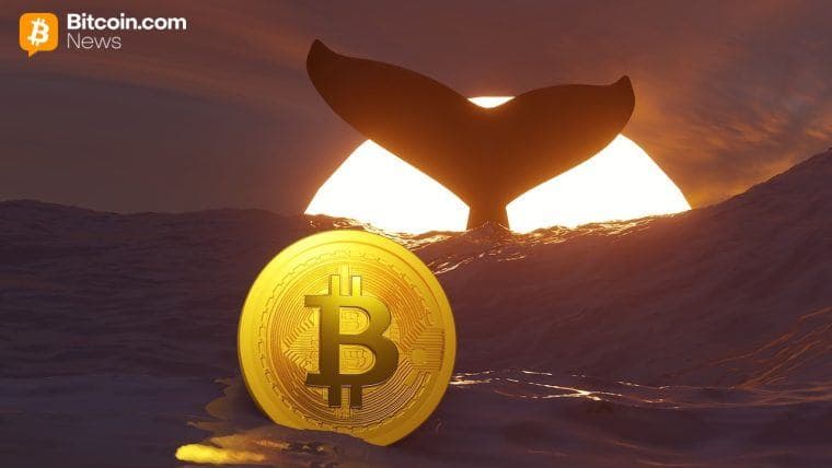TIm Draper's $250,000 BTC Call, New Whale Data, and More – Week In Review