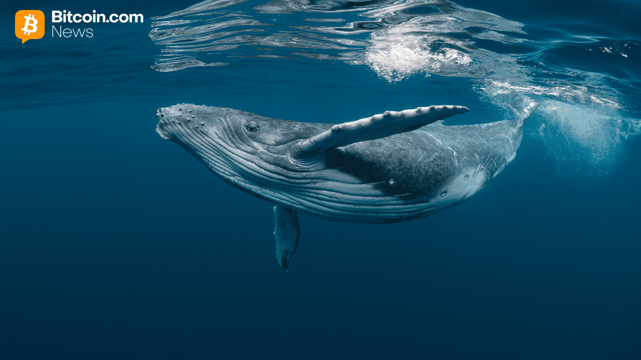 2013 Bitcoin Whale Wallet Transfers 500 BTC After 12 Years of Dormancy