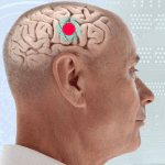 200,000 Human Neurons Learned to Play Doom, Pointing to Low-Power Biological Computing
