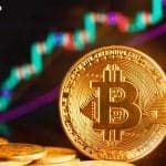 Bitcoin Whales Reverse 12-Day Slide as ‘Massive Supply Shock’ Emerges