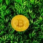 Bitcoin Bottom Is in: Standard Chartered Declares End of Crypto Winter