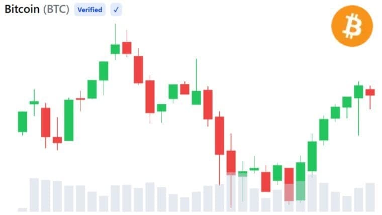 Aankopen door ‘whales’ duiden op bodem van Bitcoin na slechtste maand sinds 2022 — 3 signalen om in de gaten te houden