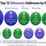 Ethereum's 12 Biggest Wallets Expose 6 Exchanges Controlling 6.6 Million ETH