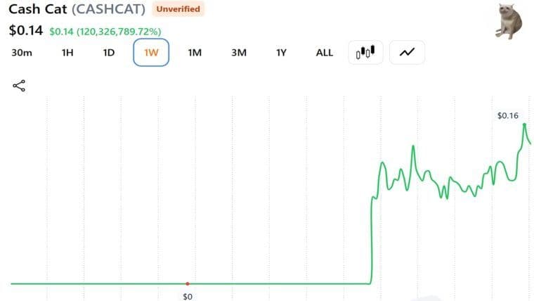 This Trader Sold His CASHCAT for $711 Instead of Retiring: Here's the Math