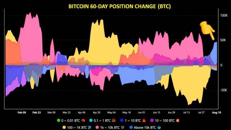 Bitcoinové „velryby“ nakoupily 43 000 BTC a ukončily tak několikaměsíční vlnu výprodejů
