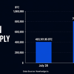 Onchain Data: Coldcard Crisis Doubles Bitcoin’s Hot Supply in Just One Week