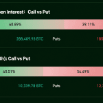Options Bets Turn Defensive Ahead of a Bitcoin Price Showdown