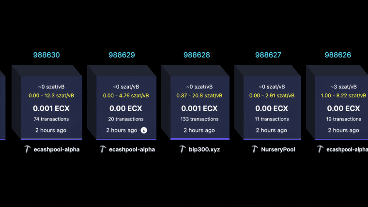 تجاوزت "ECX"، النسخة المتفرعة من البيتكوين التي أنشأها بول ستورتش، حاجز الـ25,000 بلوك في غضون 13 ساعة فقط