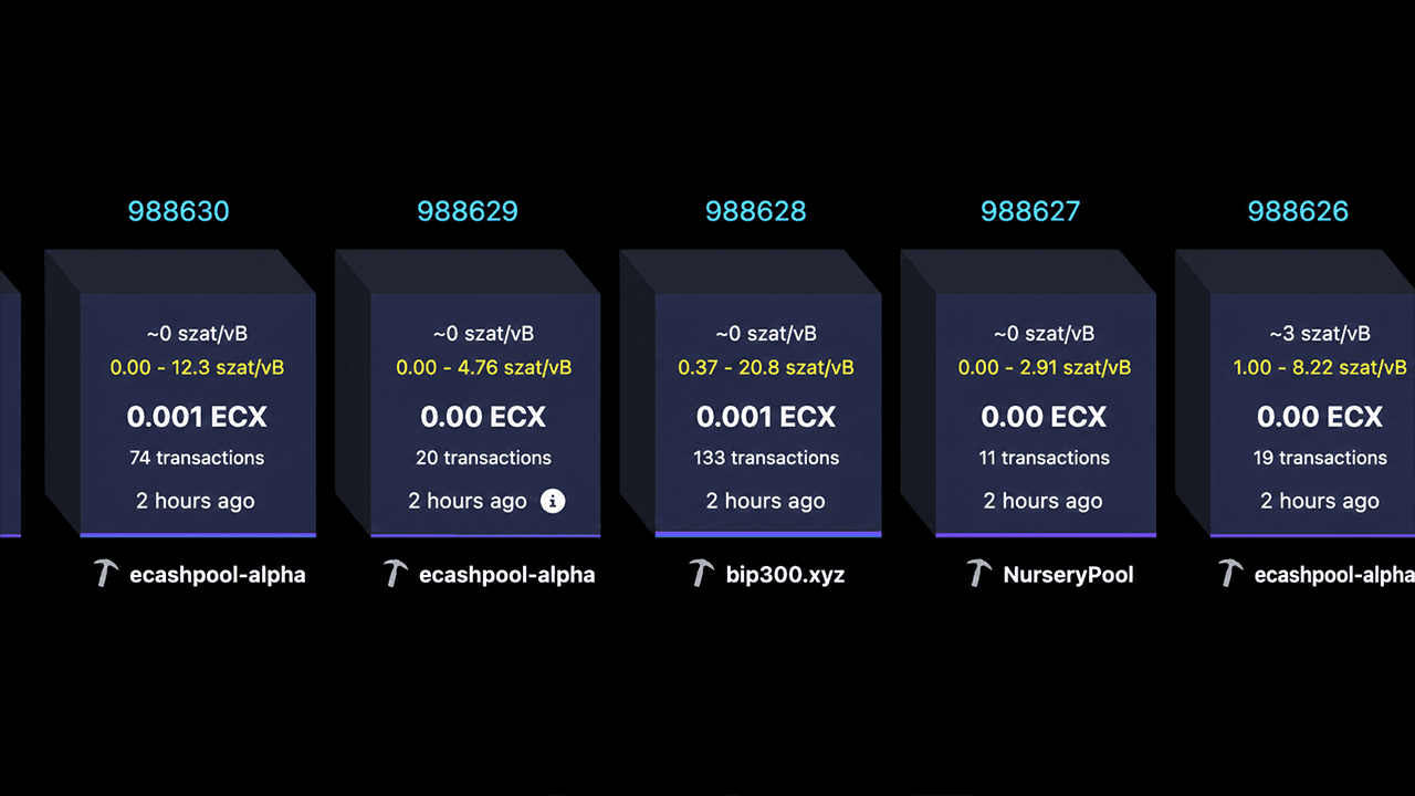 تجاوزت "ECX"، النسخة المتفرعة من البيتكوين التي أنشأها بول ستورتش، حاجز الـ25,000 بلوك في غضون 13 ساعة فقط