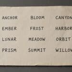 Seed Phrases: The 12 Words Standing Between You and Losing Everything