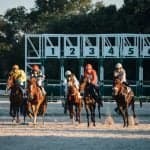 En favorit med odds på 97 % tabte på Goodwood, og bookmakerne led alligevel et tab