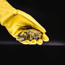 A Federal US Crypto Bank Just Added Physical Uranium Tokens