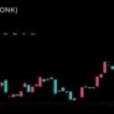 A Whale Sold 16,976 SOL to Buy STONK's 33% Dip; Then Came It's All-Time High