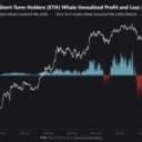 Bitcoin's $9.07B Whale Profit Record Puts Rally Floor to Test