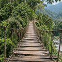 Deep in Mexico’s Jungle, Police Found 300 Crypto Miners Humming