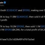 How CASHCAT and PONS Turned $220K Into $4.7M on Robinhood Chain