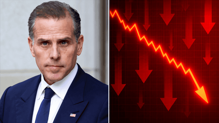 La « meme coin » inspirée de l'ordinateur portable de Hunter Biden s'effondre de 98 % en seulement 90 minutes