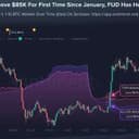 Smaller Bitcoin Holders Sold Before $85K Rally as 69,494 Wallets Exit