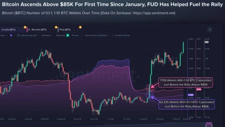 Smaller Bitcoin Holders Sold Before $85K Rally as 69,494 Wallets Exit