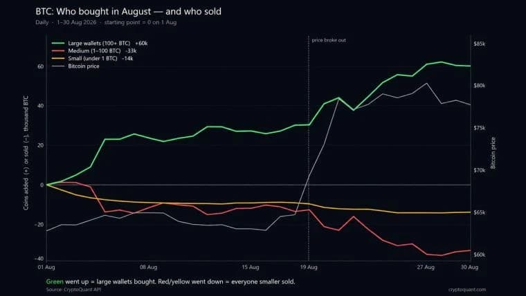 Cryptoquant: Kenaikan Harga Bitcoin Menyembunyikan Gelombang Pembelian Besar-besaran oleh Pemegang Besar (Whale) Sebanyak 60.000 BTC