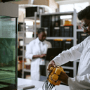 A New Soft Underwater Robot Swims in 3D With Just Two Pneumatic Actuators