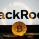Blackrock Drives Entire $110 Million Bitcoin ETF Inflow