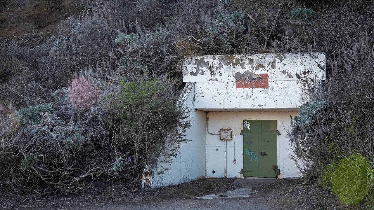 'Bunker Mode'? Crypto Experts Argue Over AI Threat to Bitcoin, Ethereum