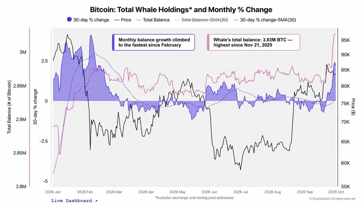 Cryptoquant Says Bitcoin Whales Are Back as a Mystery Buyer Grabs $97M