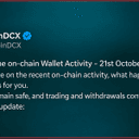 Indian Exchange CoinDCX Admits $16M Hit After CEO Dismissed Suspicious Transfers