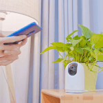 Interior Photos Can Reveal a Home Address, a Police AI Test Shows