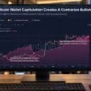Bitcoin Bottom May Be Near as 30,000 Wallets Disappear: Santiment