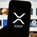 XRP Price Barely Moves on Ripple OCC Approval as Whales Control 68.5% of Supply