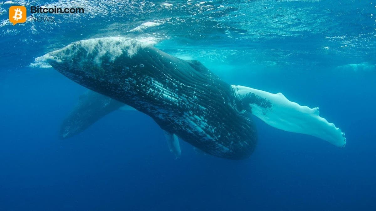 Whale Who Spent $62M on Uniswap and Compound Tokens Is Now Selling at a ...