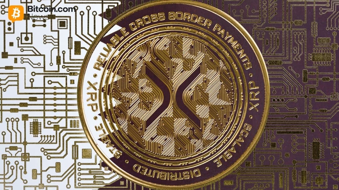 XRP Ledger Activity Jumps as Price Tests $1.55, Large Wallets Set Record