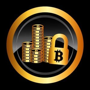 Bitcoin.com_Startup Venture Capital Indie.vc Bitcoin