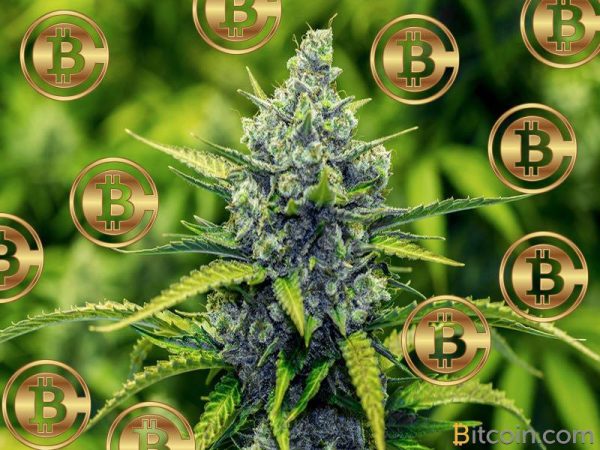 how and why you use bitcoins to buy weed