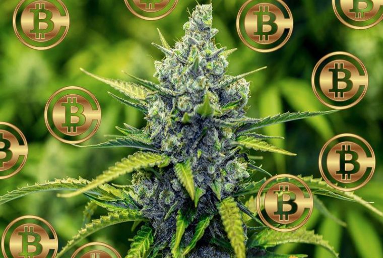 buy weed online with bitcoins reviews