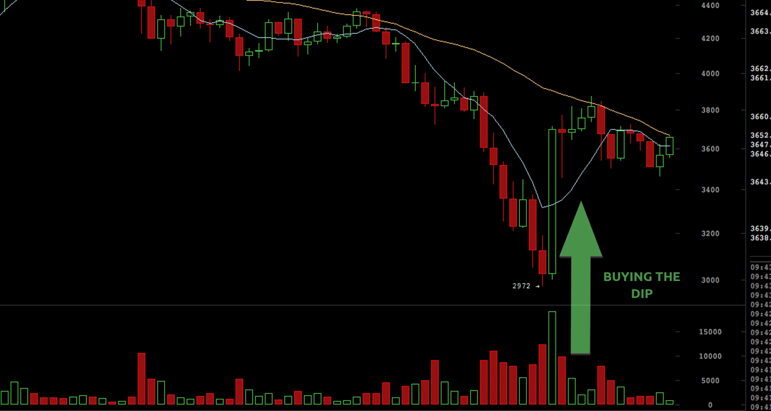 September’s Bitcoin Market Madness: When Panic Selling and FOMO Ensues